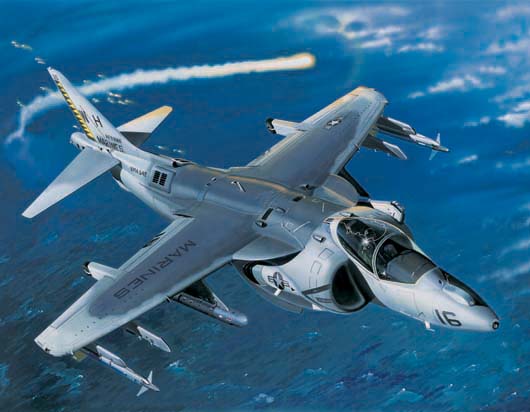 トランペッター 1/32 AV-8B ハリアーII Amazon.com: Trumpeter 1/32 AV8B Harrier II Early Version